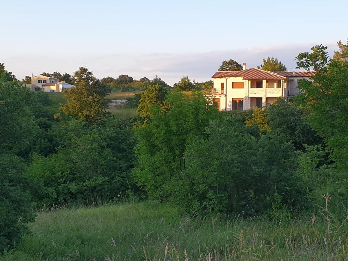 Villa Istra Divšići Bagian luar foto