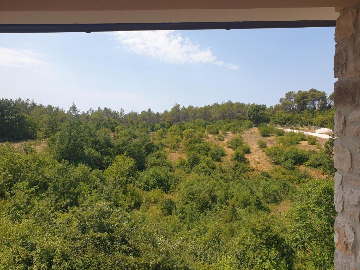 Villa Istra Divšići Bagian luar foto