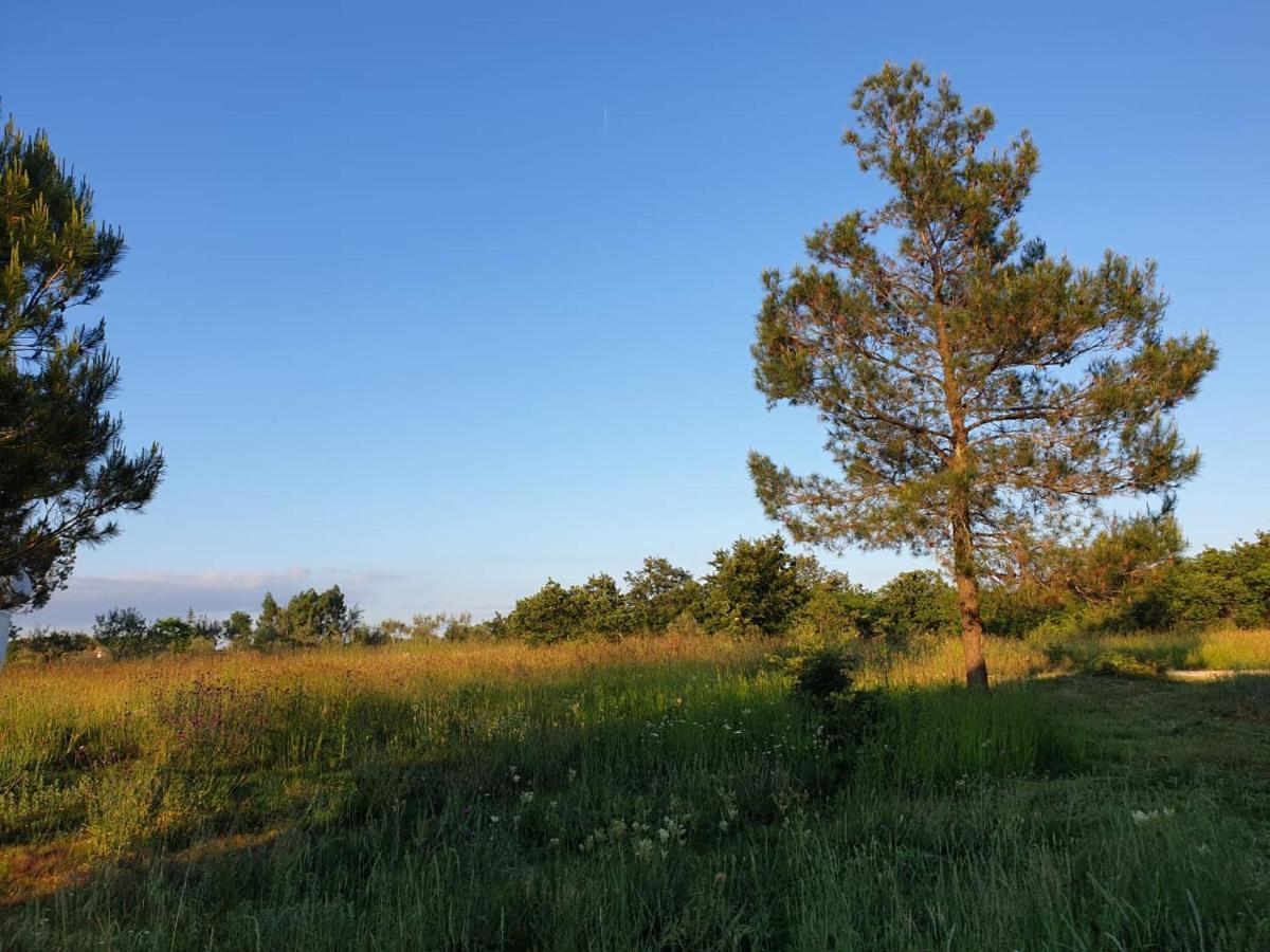 Villa Istra Divšići Bagian luar foto
